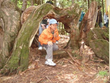 木のトンネル！