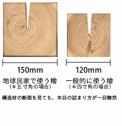 木の力